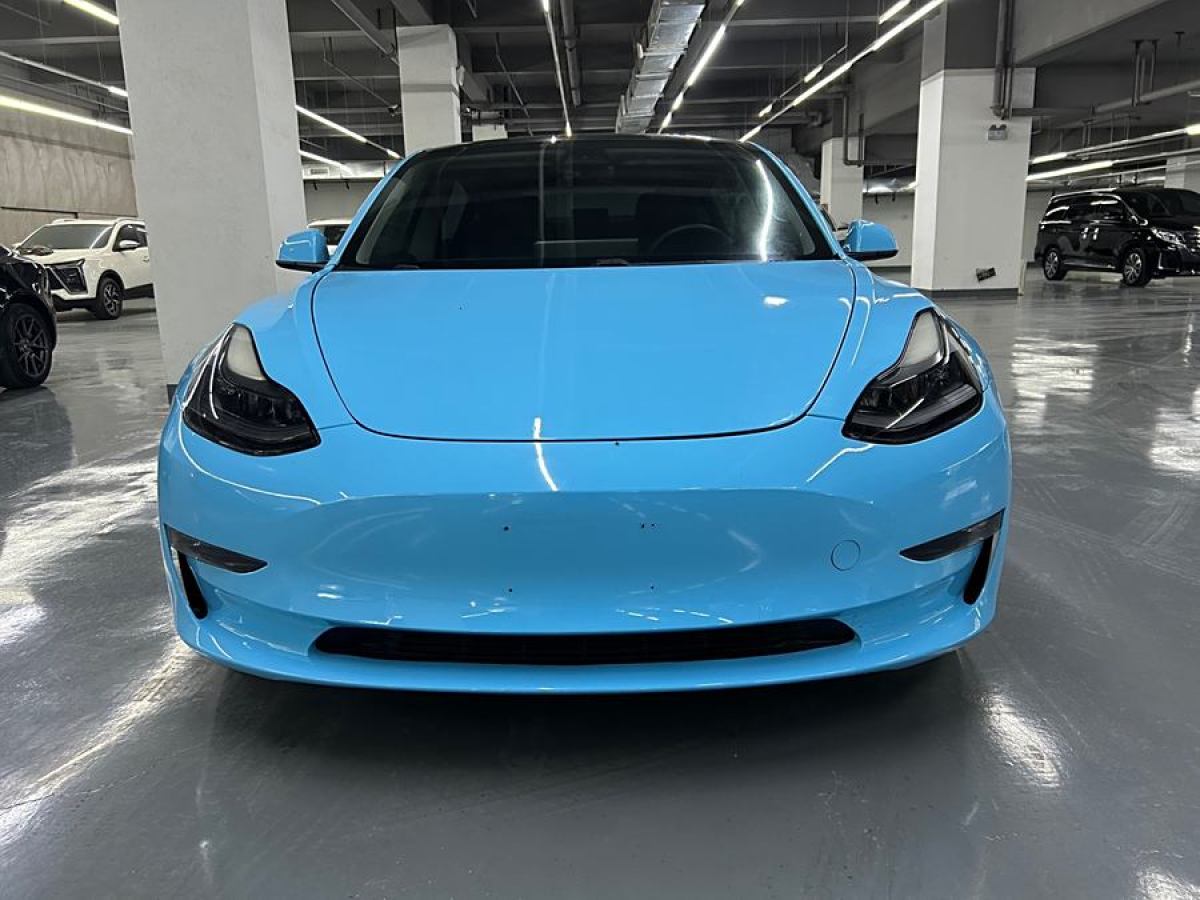 特斯拉 Model 3  2019款 Performance高性能全輪驅(qū)動(dòng)版圖片