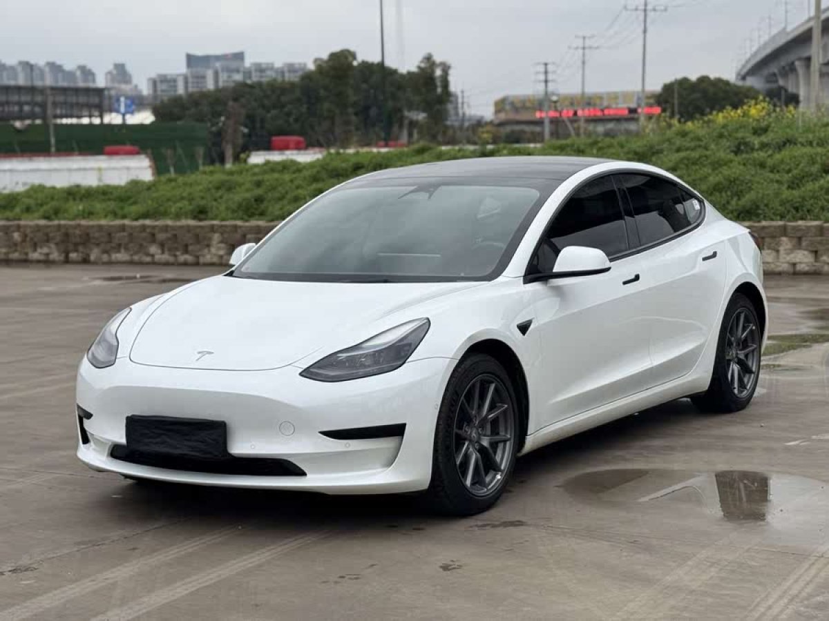 特斯拉 Model 3  2022款 后輪驅(qū)動(dòng)版圖片