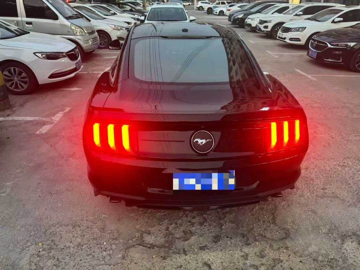 野馬 博駿  2019款 1.5L 手動精英型圖片