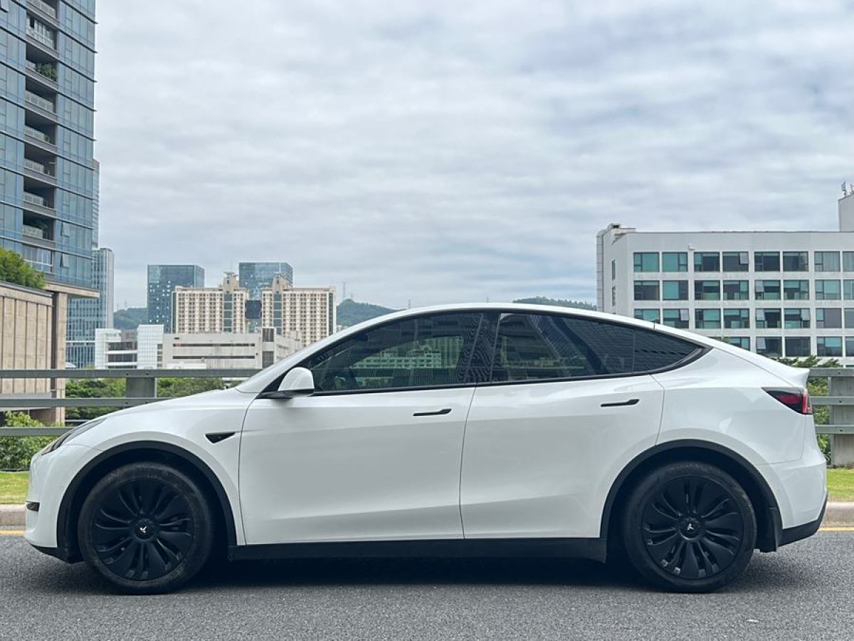 特斯拉 Model Y  2022款 后輪驅(qū)動版圖片