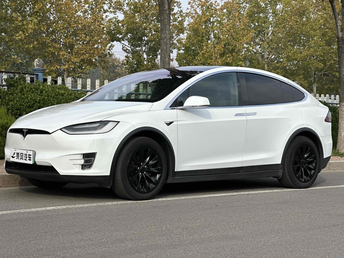 2017年7月特斯拉 Model X  2016款 Model X 60D