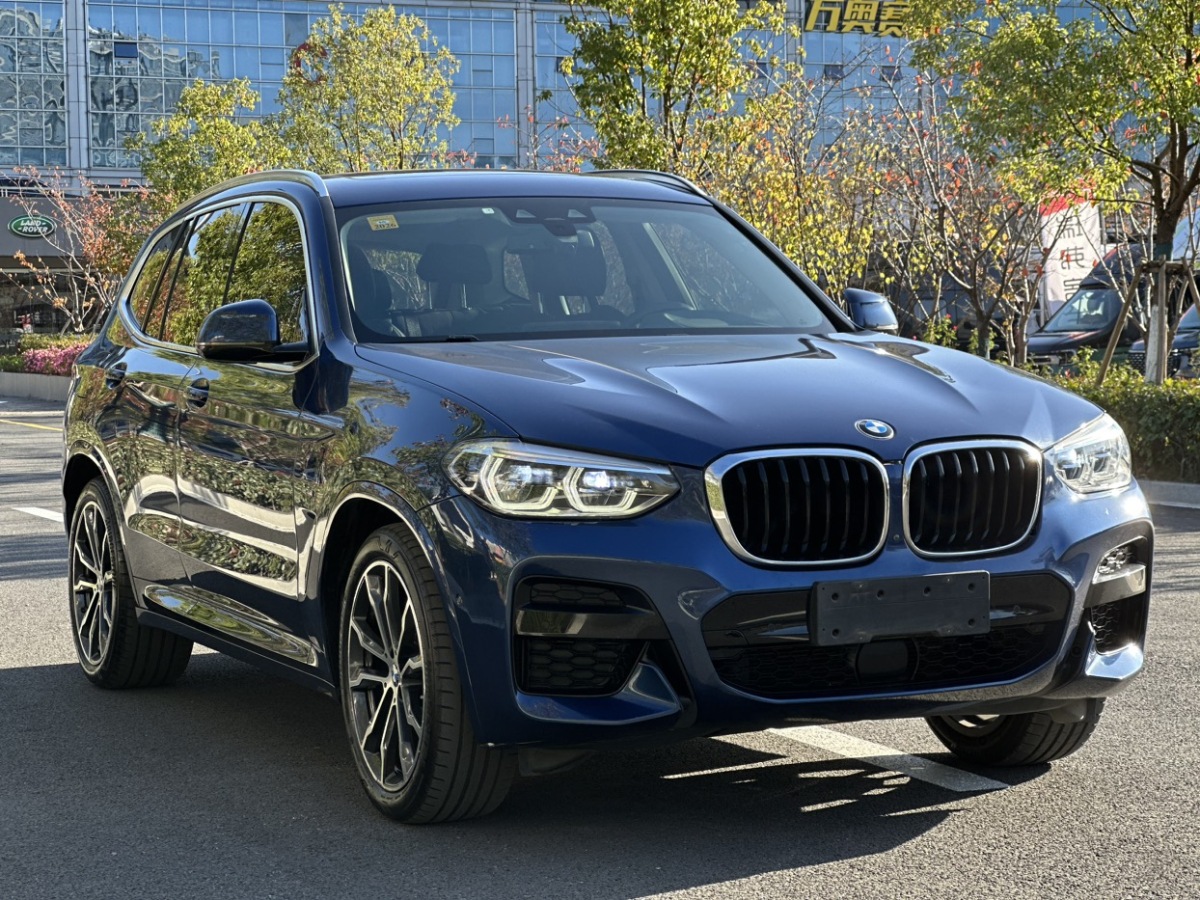 寶馬 寶馬X3  2020款 xDrive30i 領(lǐng)先型 M運(yùn)動(dòng)套裝圖片