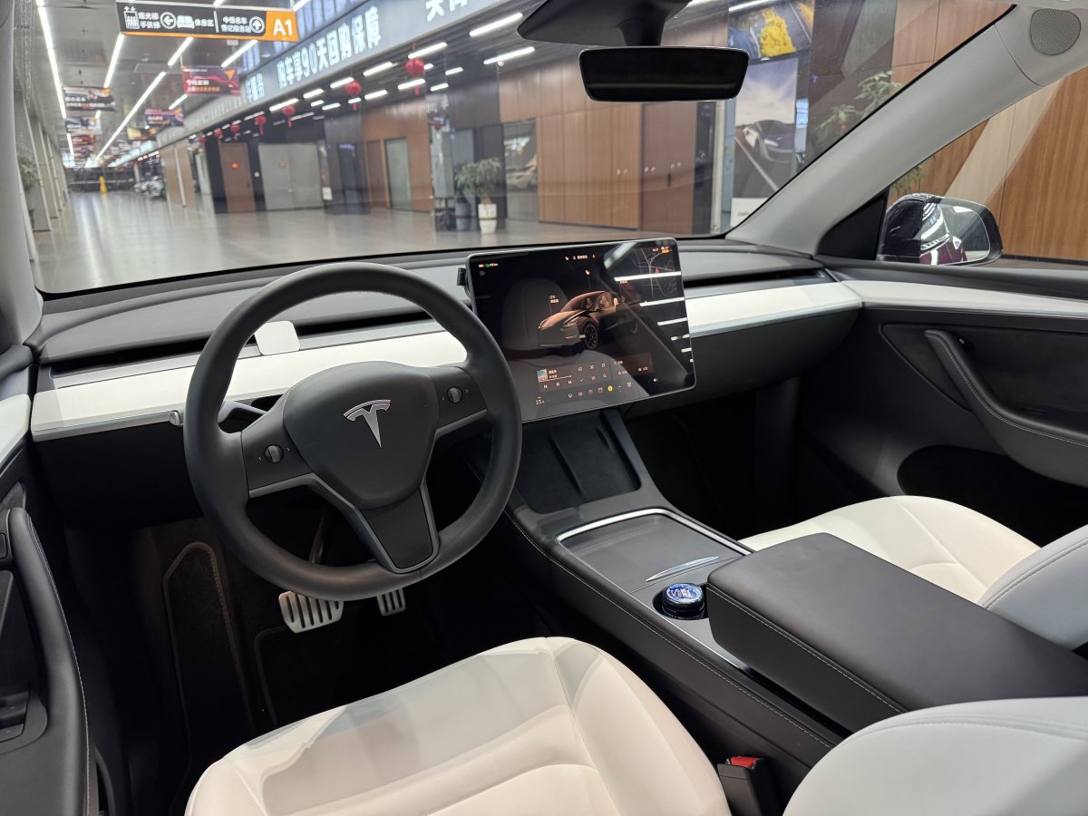 特斯拉 Model 3  2022款 Performance高性能全輪驅(qū)動(dòng)版圖片