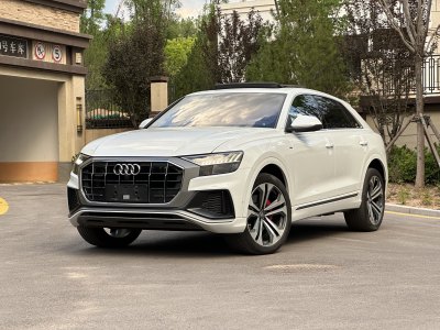 2019年10月 奧迪 奧迪Q8(進(jìn)口) 55 TFSI 至尊限量版圖片