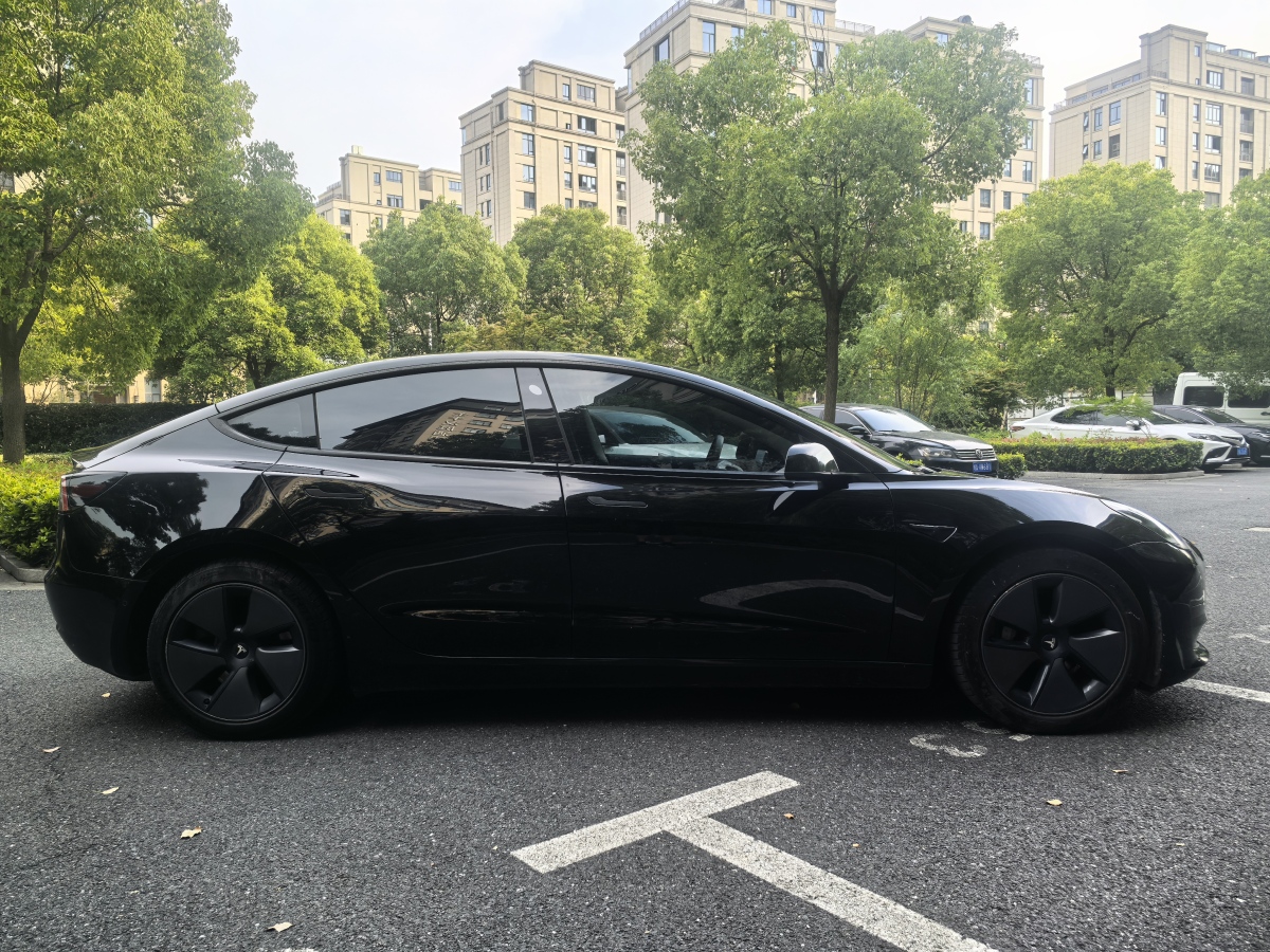 特斯拉 Model 3  2021款 標(biāo)準(zhǔn)續(xù)航后驅(qū)升級版 3D6圖片