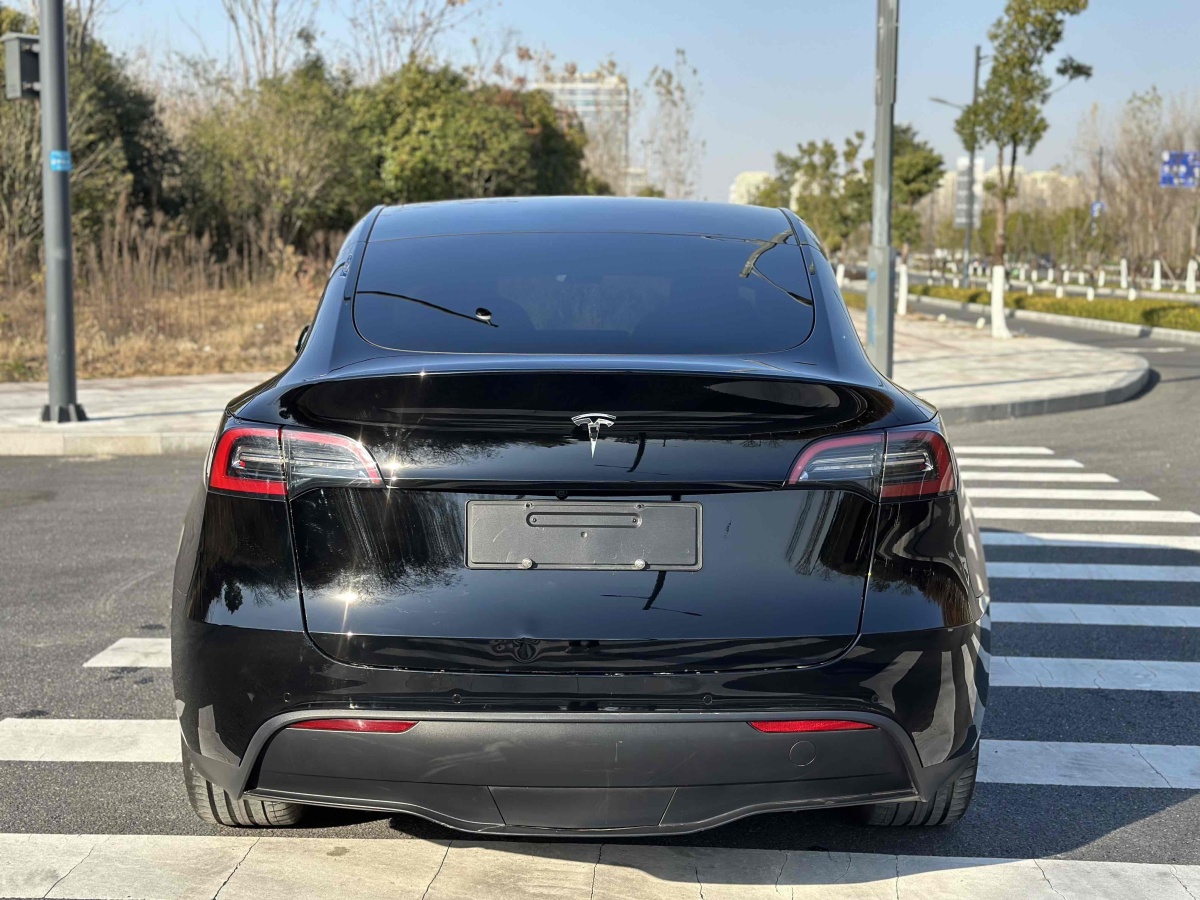 特斯拉 Model 3  2020款 改款 長續(xù)航后輪驅(qū)動版圖片