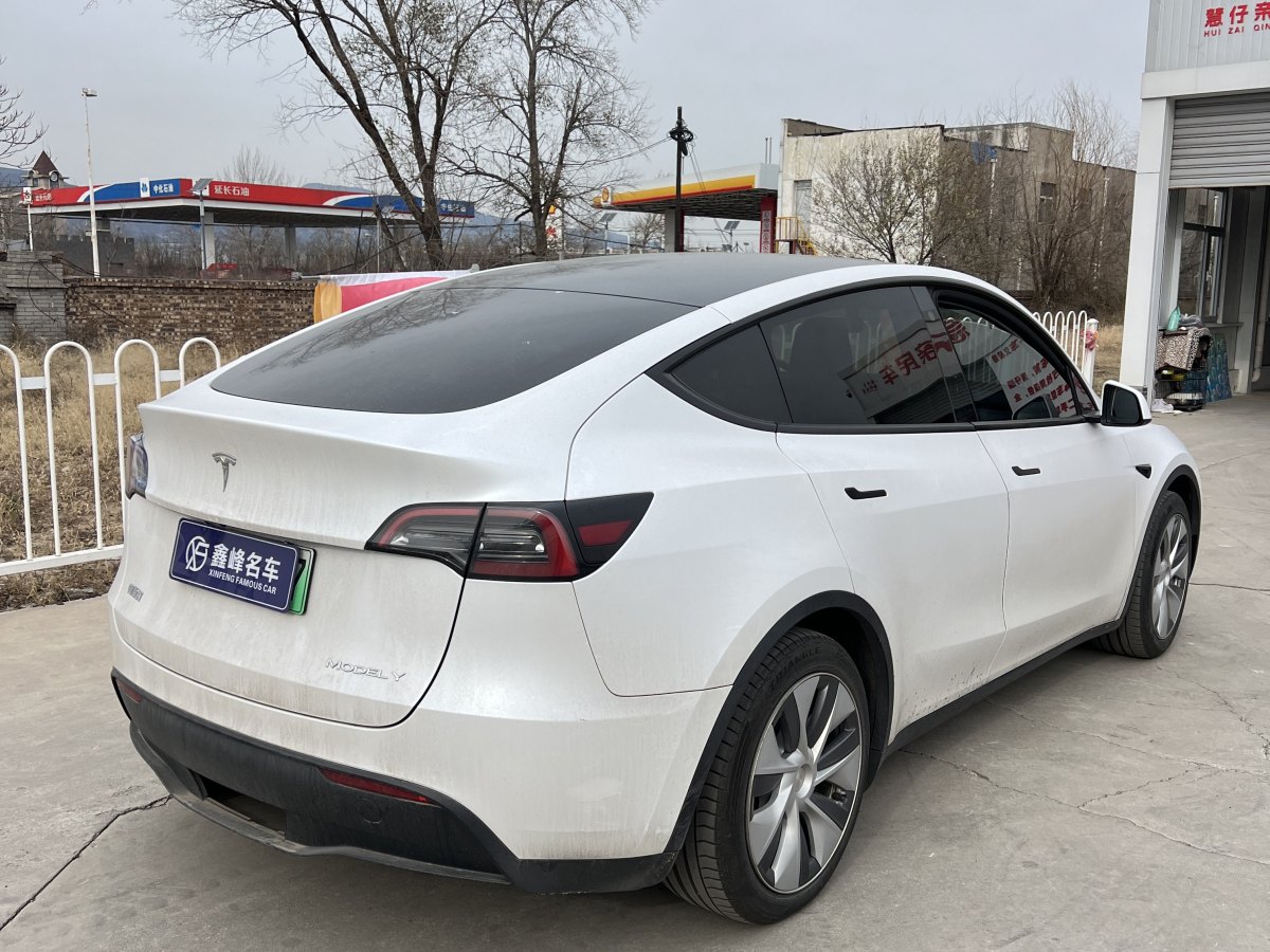 特斯拉 Model 3  2022款 后輪驅(qū)動(dòng)版圖片