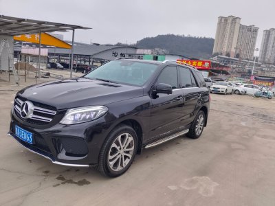 2016年7月 奔馳 奔馳GLE(進(jìn)口) GLE 320 4MATIC 動(dòng)感型圖片