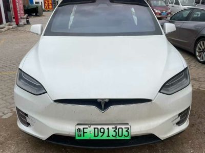 2017年1月 特斯拉 Model S Model S 100D圖片