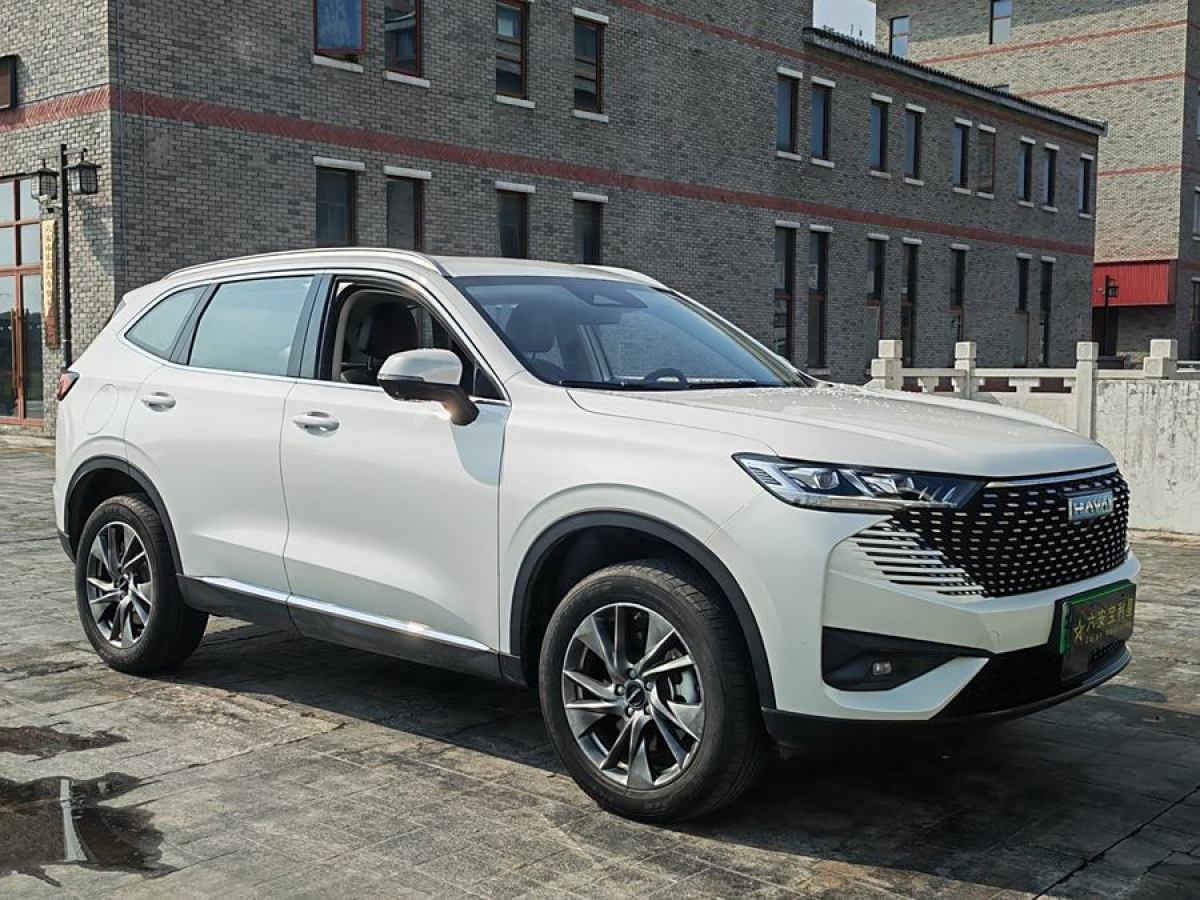 哈弗 哈弗H6新能源  2023款 DHT-PHEV 55KM 悅行版圖片