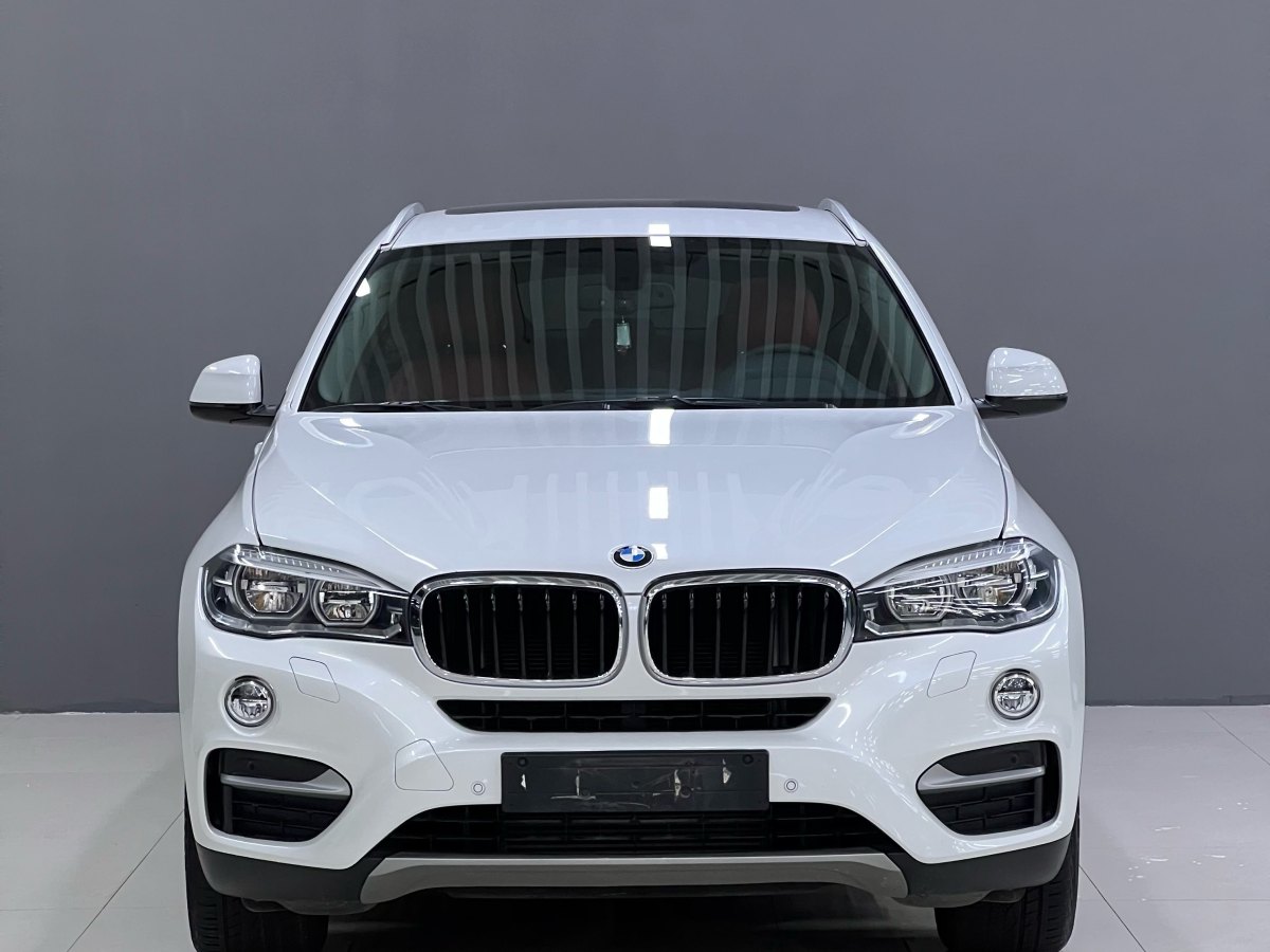 寶馬 寶馬X6  2015款 xDrive35i 豪華型圖片