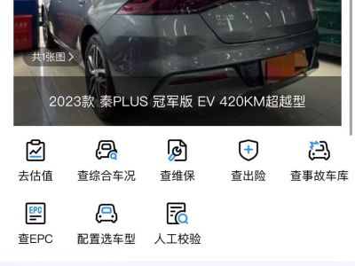 2023年9月 凱翼 凱翼昆侖 昆侖 300 高原版圖片