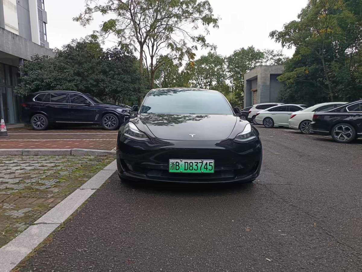 特斯拉 Model 3  2019款 標(biāo)準(zhǔn)續(xù)航后驅(qū)升級版圖片