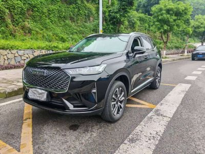 2024年5月 哈弗 H6 1.5T 兩驅(qū)經(jīng)典版圖片