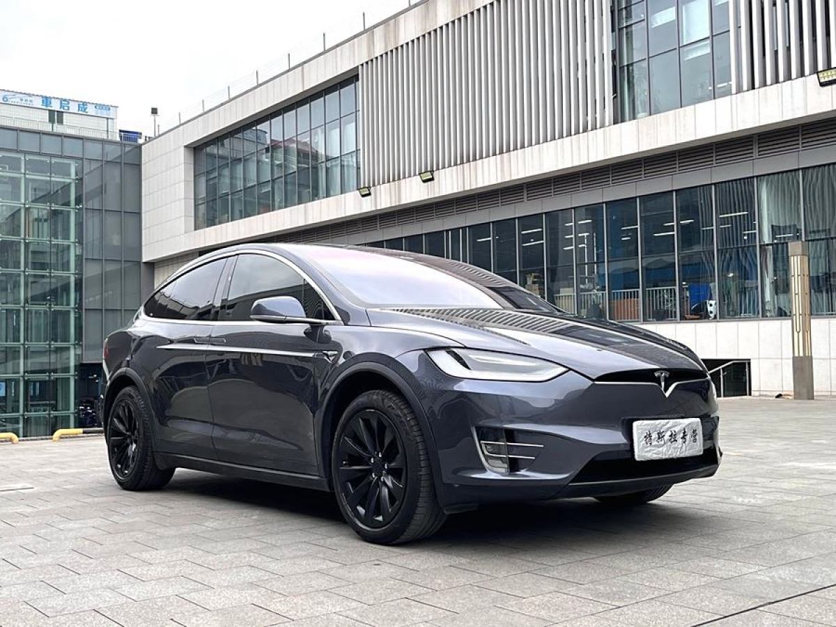 特斯拉 Model X  2019款 長續(xù)航版圖片