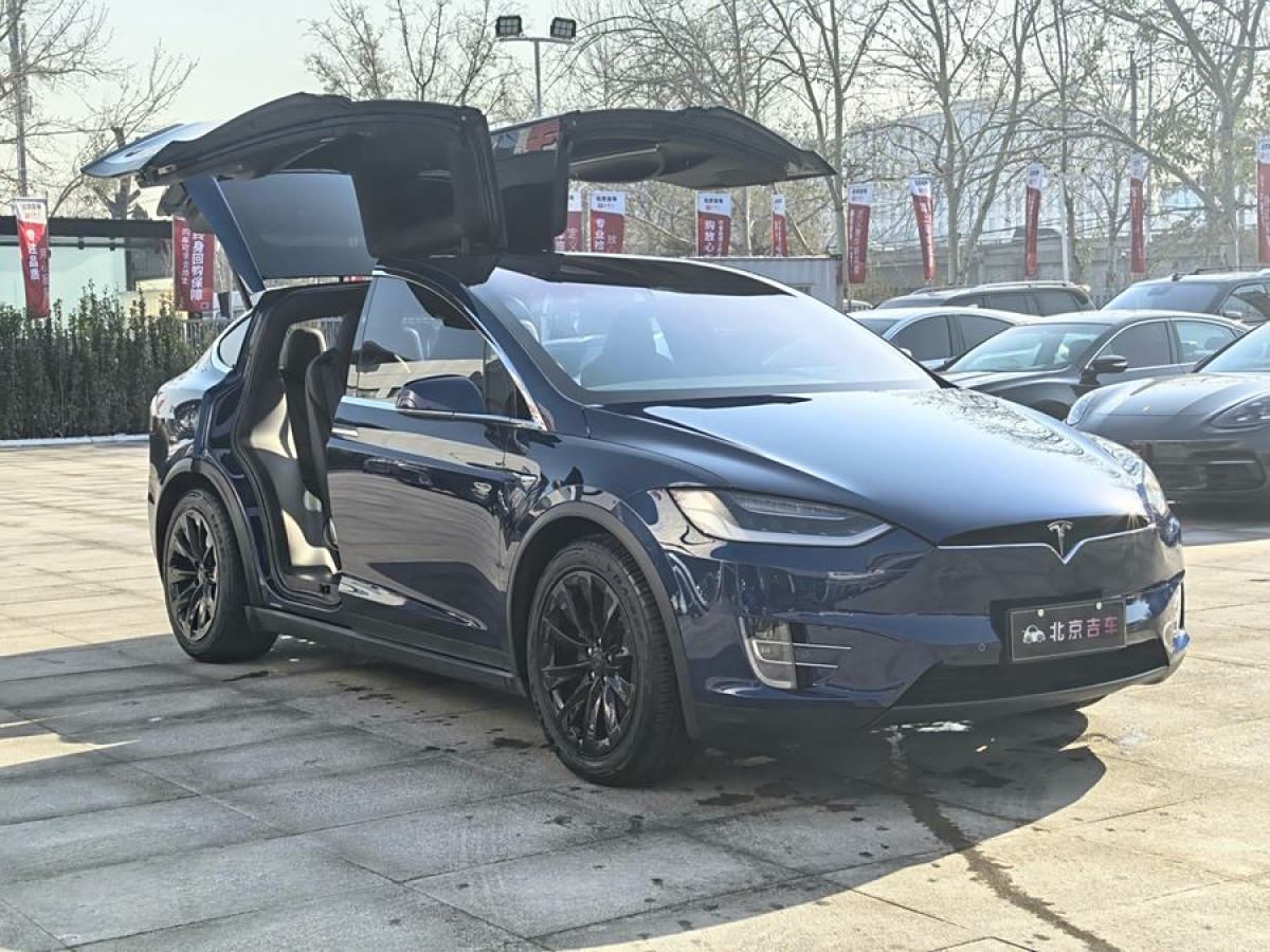 2018年3月特斯拉 Model X  2017款 Model X 100D 長(zhǎng)續(xù)航版