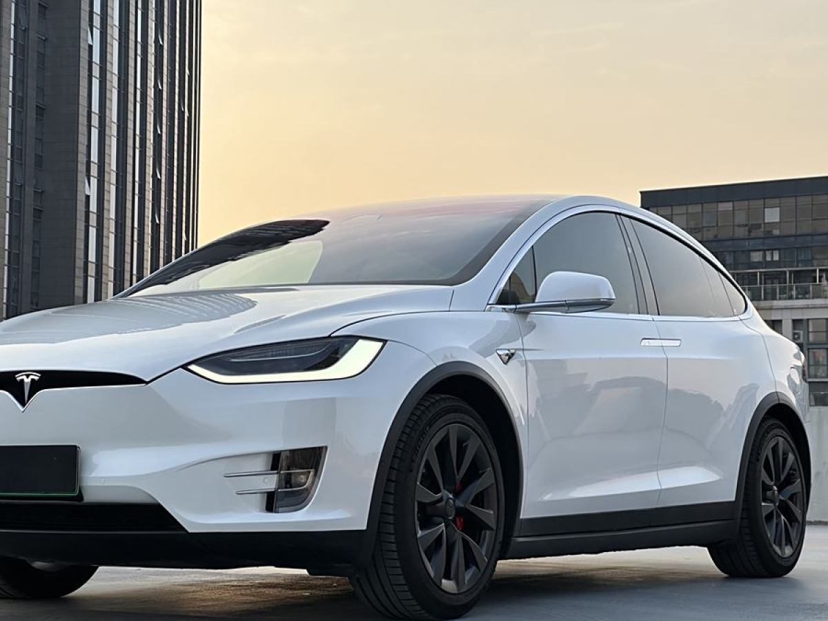 特斯拉 Model X  2019款 Performance 高性能版圖片