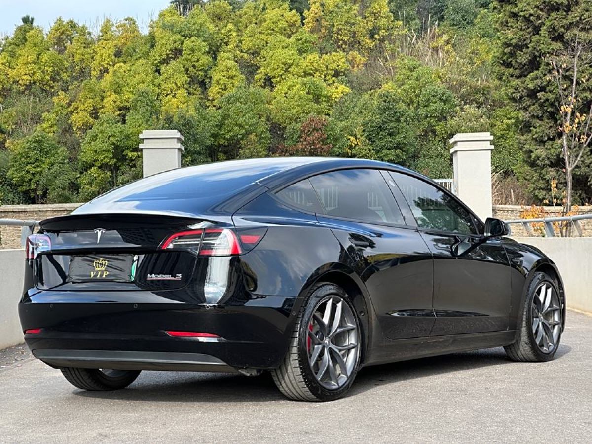 特斯拉 Model Y  2022款 Performance高性能全輪驅(qū)動版圖片