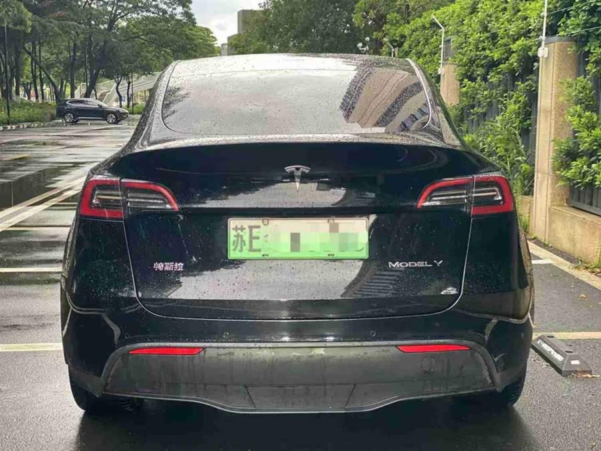特斯拉 Model Y  2021款 標(biāo)準(zhǔn)續(xù)航后驅(qū)版圖片