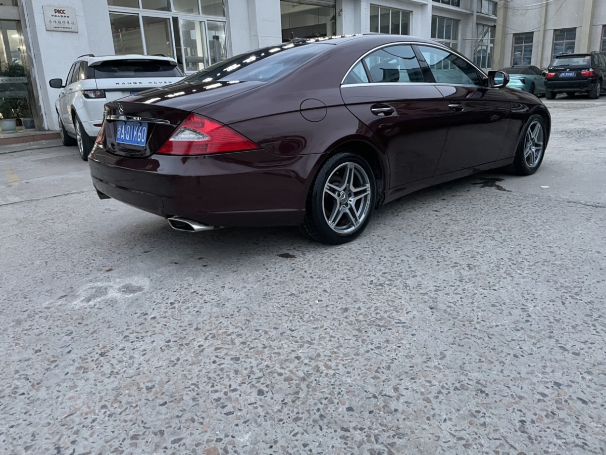 奔馳 奔馳CLS級(jí)  2009款 CLS 300圖片