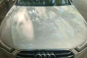 奥迪A6 奥迪 3.0T allroad quattro