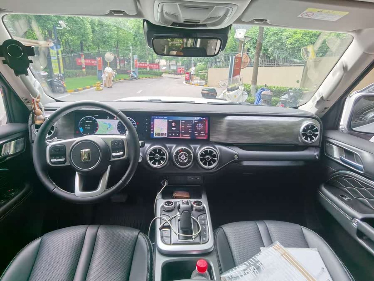 坦克 坦克300  2021款 城市版 2.0T 很有型圖片