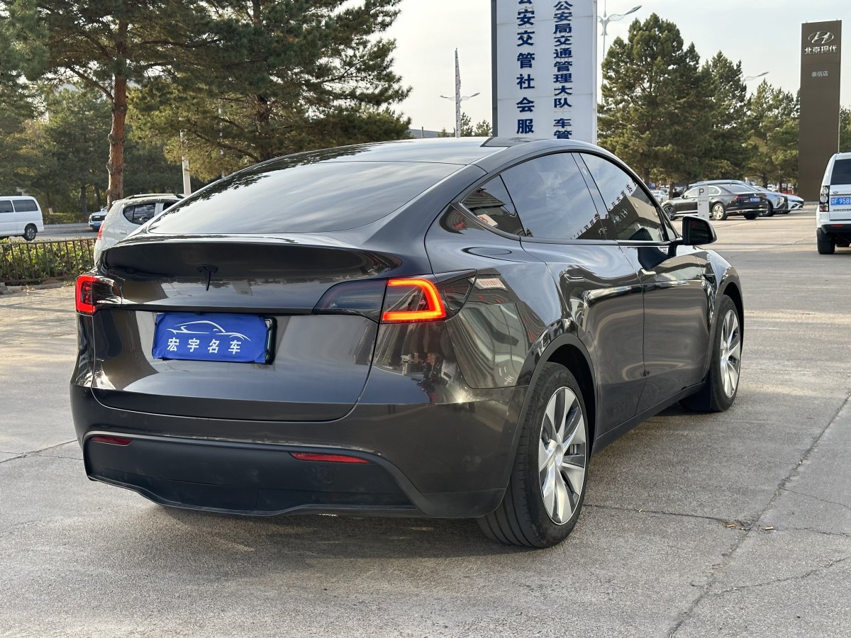 特斯拉 Model Y  2020款 改款 長續(xù)航后輪驅(qū)動版圖片