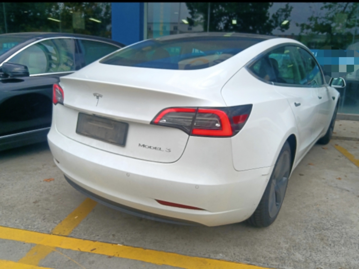 特斯拉 Model 3  2019款 標(biāo)準(zhǔn)續(xù)航后驅(qū)升級(jí)版圖片