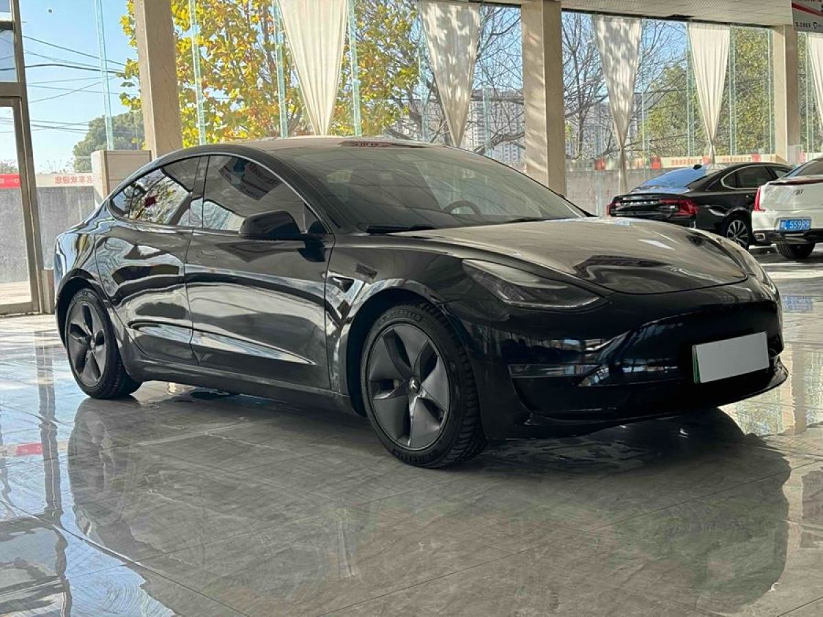 特斯拉 Model 3  2019款 長(zhǎng)續(xù)航全輪驅(qū)動(dòng)版圖片