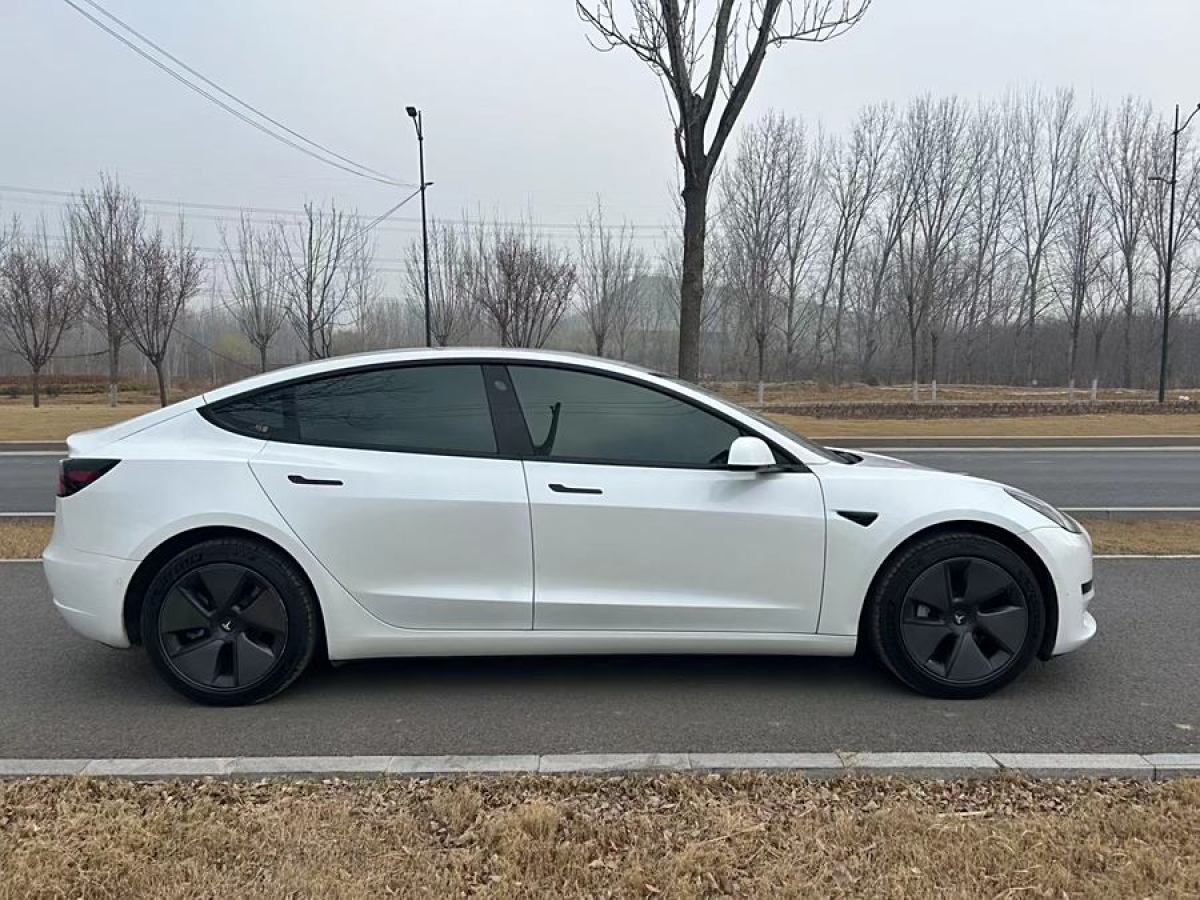 2021年6月特斯拉 Model 3  2021款 改款 標(biāo)準(zhǔn)續(xù)航后驅(qū)升級版