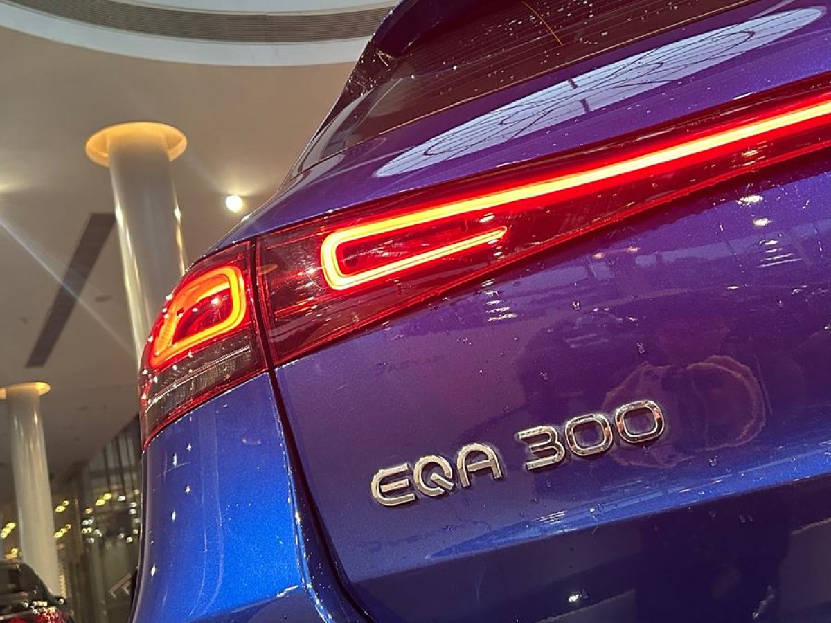 2022年1月奔馳 奔馳EQA  2022款 EQA 300 4MATIC 首發(fā)特別版