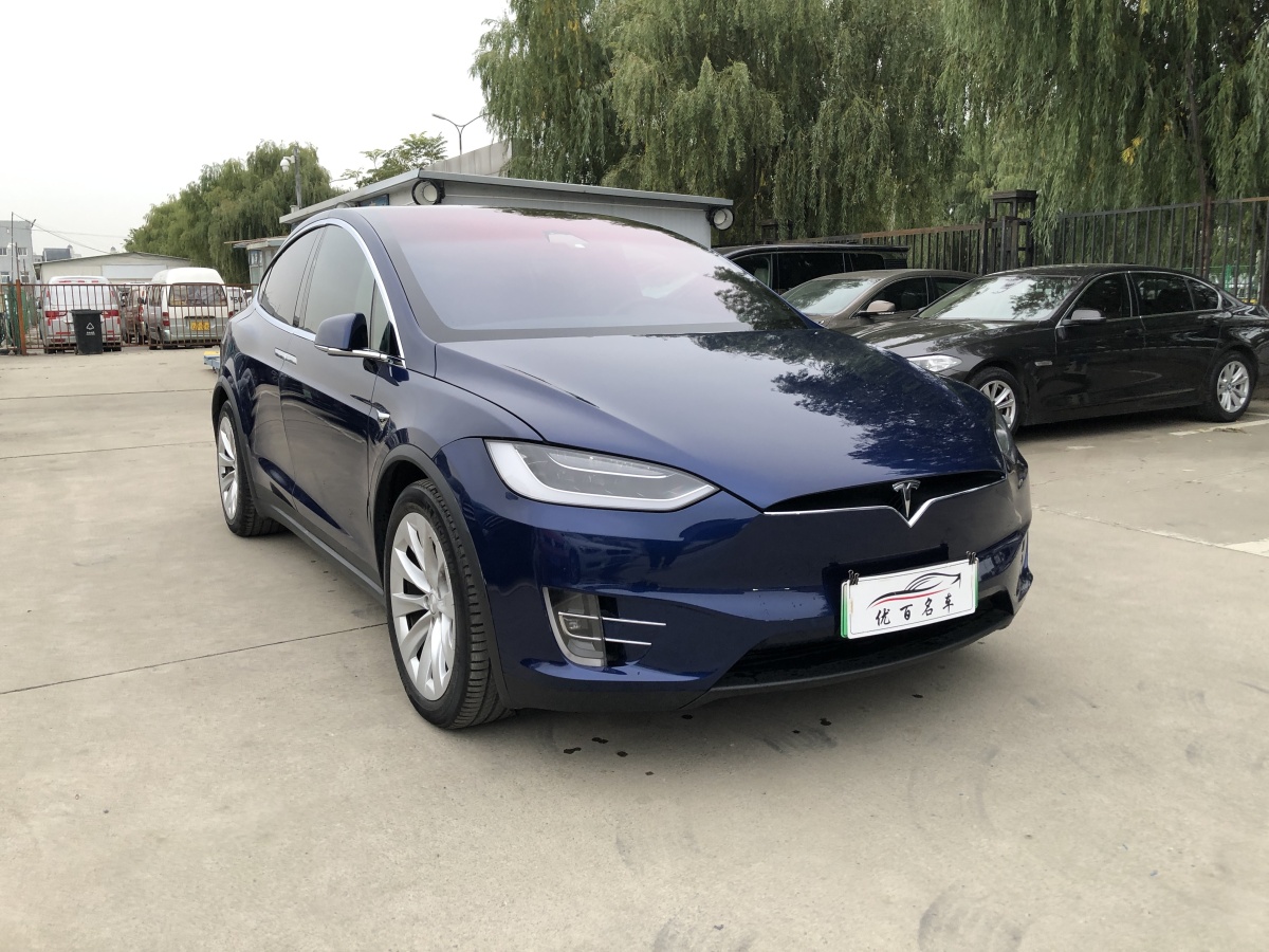 特斯拉 Model X  2017款 Model X 100D 長續(xù)航版圖片