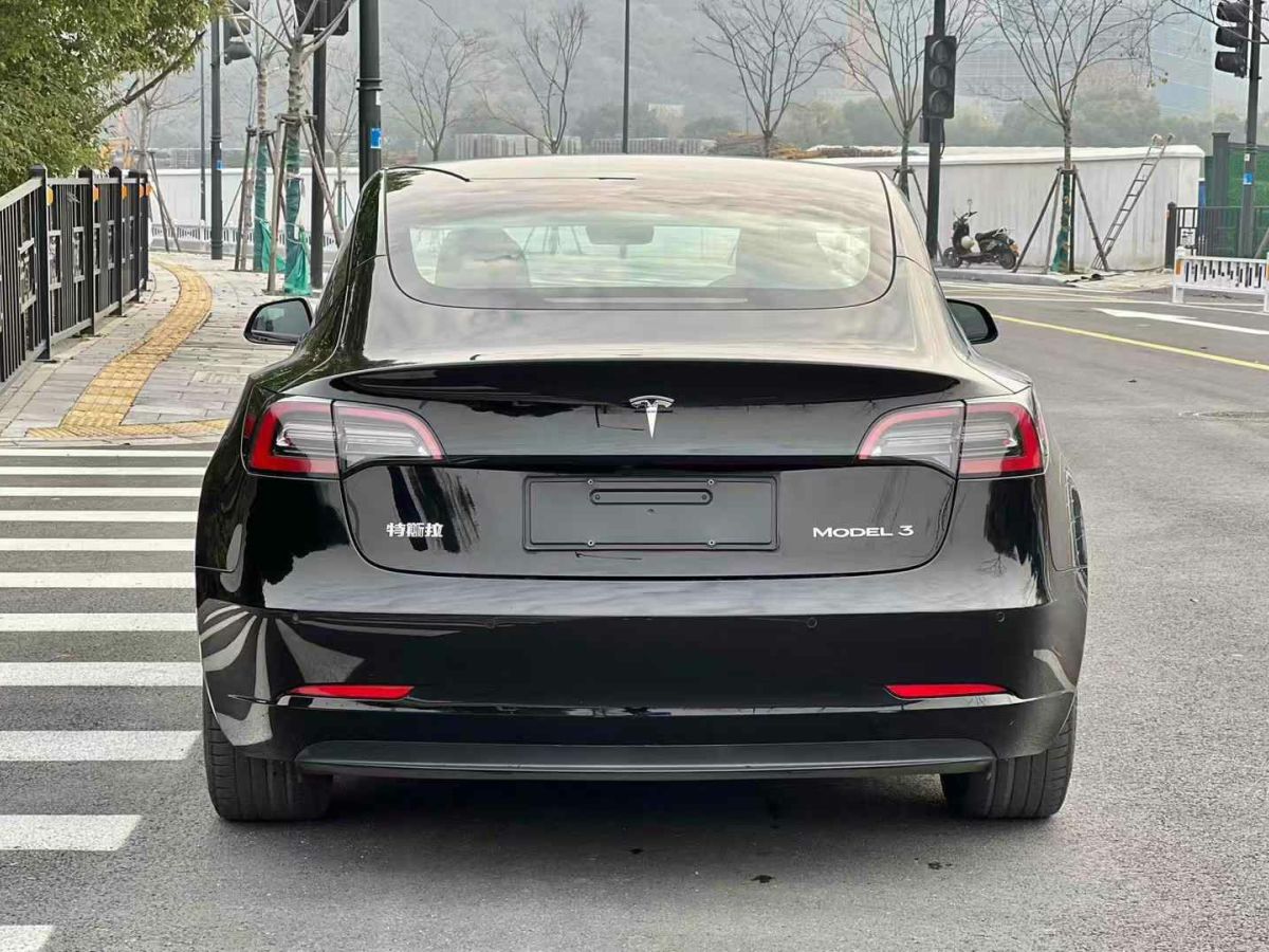 特斯拉 Model Y  2021款 標準續(xù)航后驅版圖片