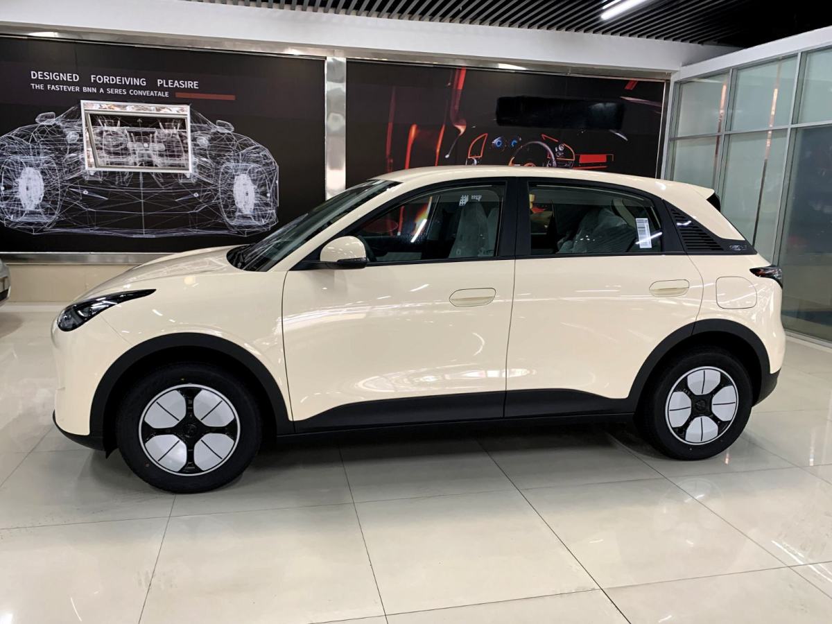 吉利 星愿  2025款 310km 夢(mèng)想版圖片