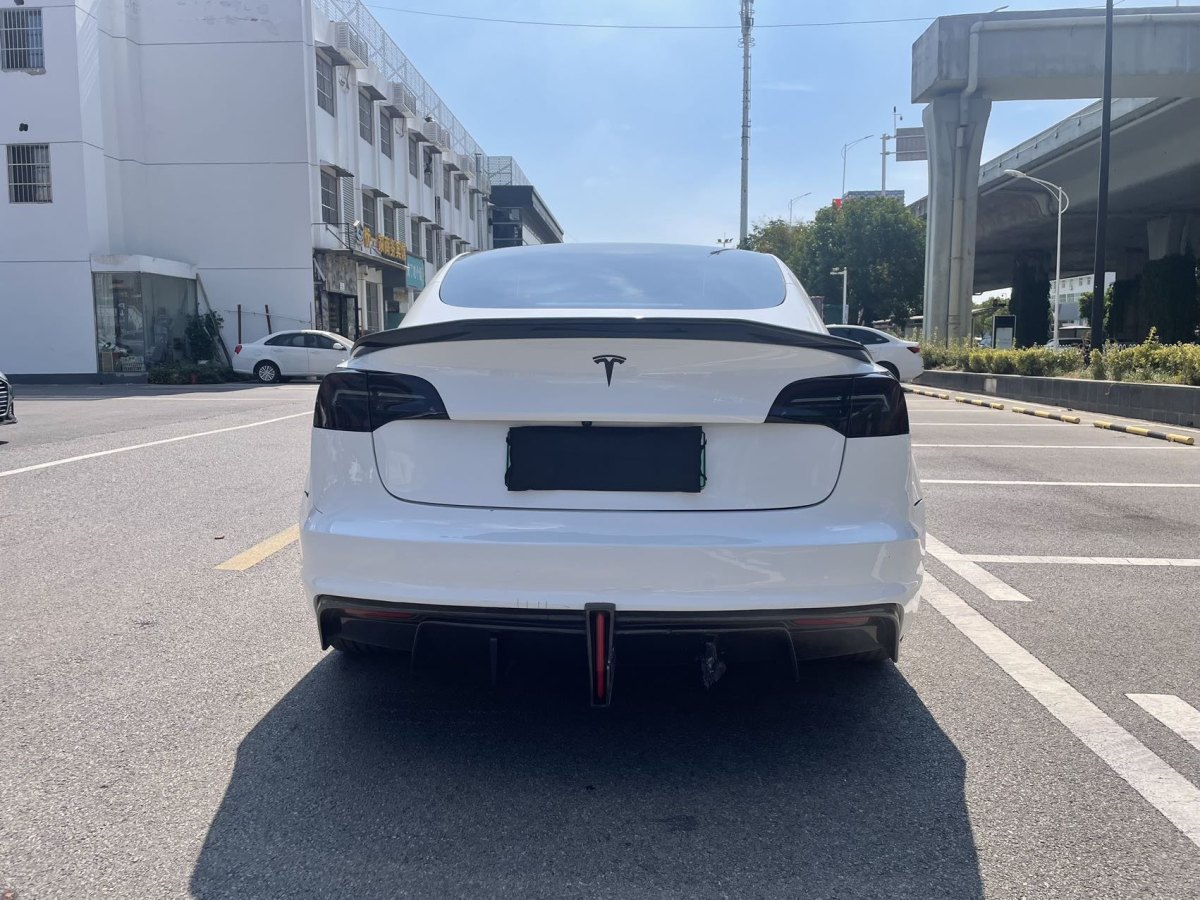 特斯拉 Model 3  2019款 Performance高性能全輪驅(qū)動版圖片