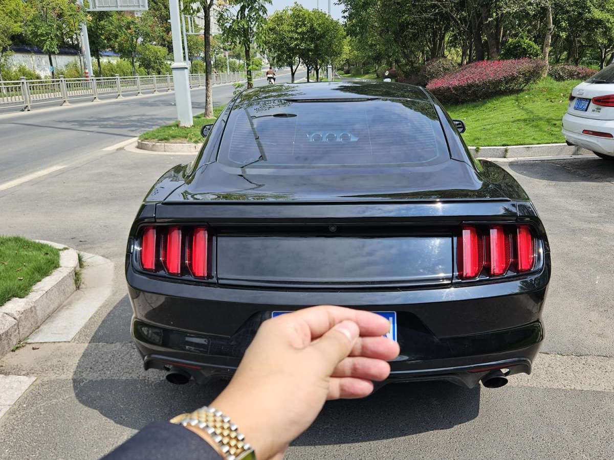 福特 Mustang  2015款 2.3T 性能版圖片