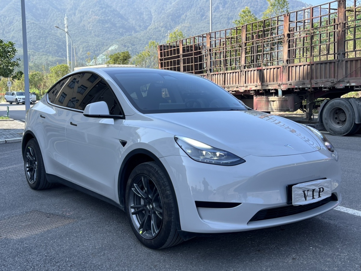 特斯拉 Model 3  2023款 煥新版 后輪驅(qū)動(dòng)圖片