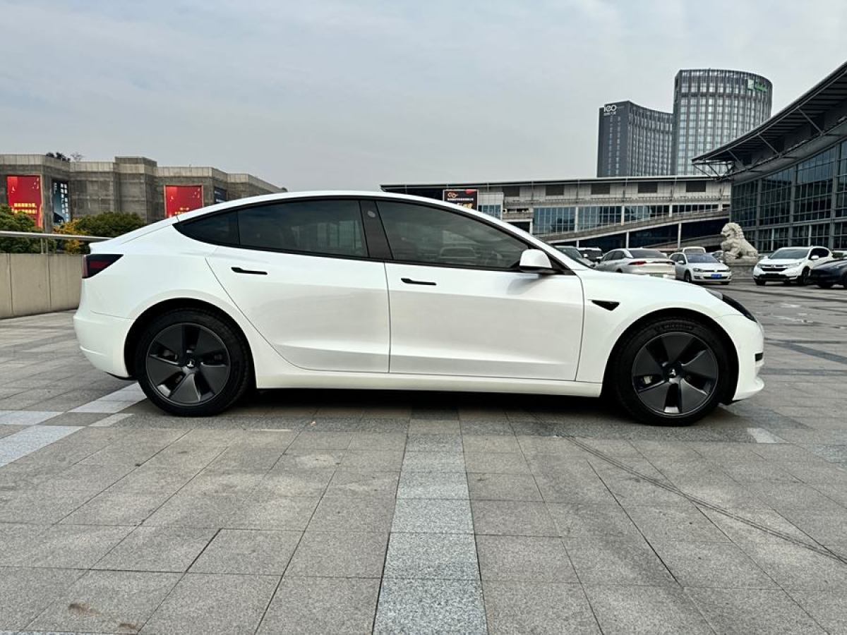 特斯拉 Model 3  2021款 改款 標(biāo)準(zhǔn)續(xù)航后驅(qū)升級版圖片