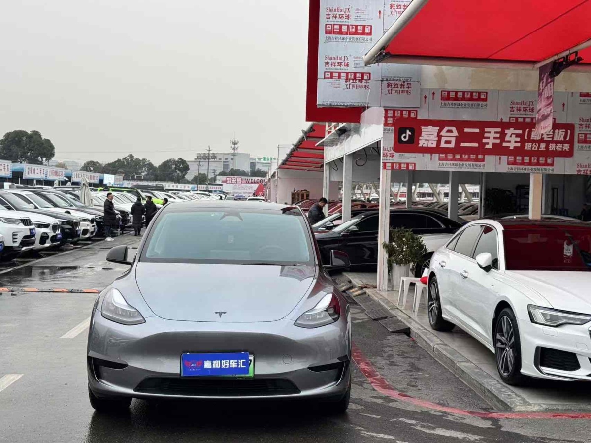 特斯拉 Model 3  2020款 改款 長續(xù)航后輪驅(qū)動版圖片