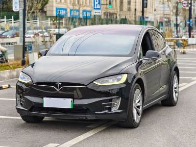 2019年6月 特斯拉 Model X Model X 75D圖片