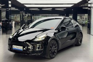 Model Y 特斯拉 Performance高性能全輪驅(qū)動版