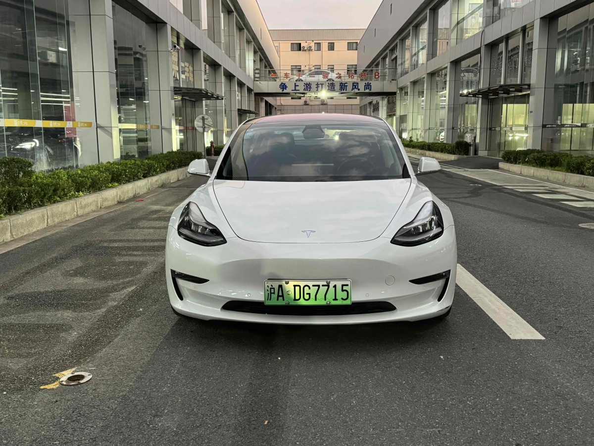 特斯拉 Model 3  2019款 長續(xù)航全輪驅(qū)動版圖片