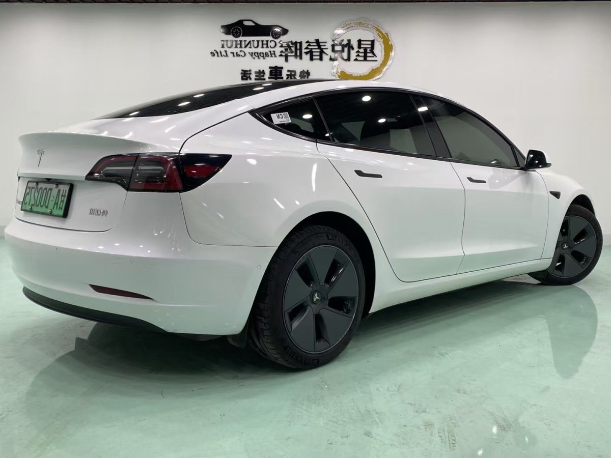 特斯拉 Model 3  2019款 標(biāo)準(zhǔn)續(xù)航后驅(qū)升級(jí)版圖片