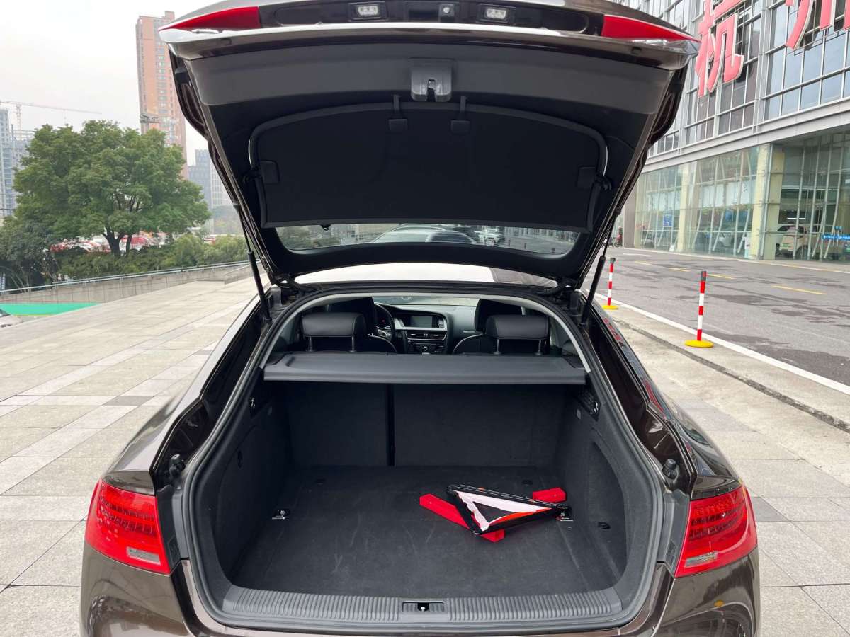 奧迪 奧迪A5  2013款 Sportback 40 TFSI圖片