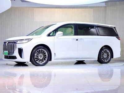 2024年5月 嵐圖 夢想家 PHEV 超長續(xù)航旗艦版圖片