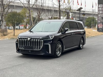 2023年10月 嵐圖 夢想家 PHEV 超長續(xù)航旗艦版圖片