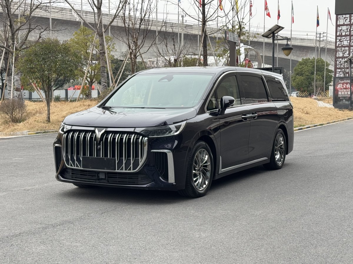 2023年10月嵐圖 夢想家  2024款 PHEV 超長續(xù)航旗艦版