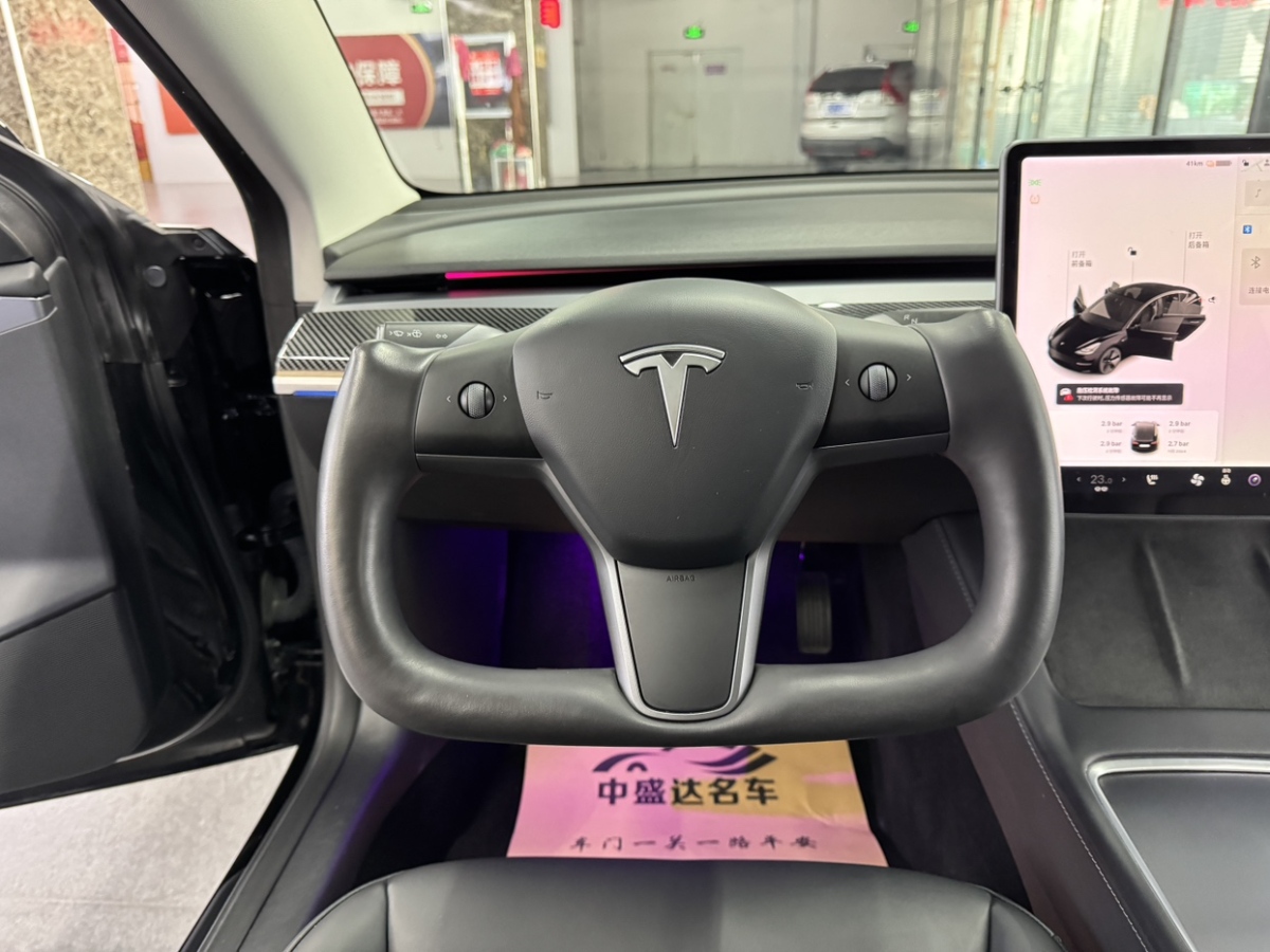 特斯拉 Model 3  2021款 標(biāo)準(zhǔn)續(xù)航后驅(qū)升級(jí)版 3D6圖片