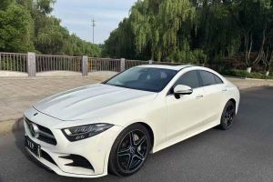 奔馳CLS級(jí) 奔馳 CLS 300 豪華型