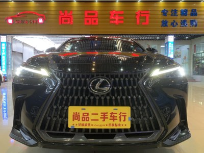 2022年4月 雷克薩斯 NX 260 前驅(qū) 創(chuàng)馳版圖片